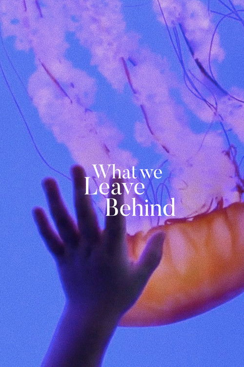 What We Leave Behind (2020) poster