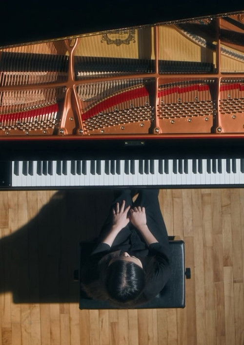 Lesson (2025) poster