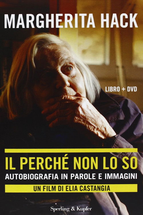 Il perché non lo so (2013) poster