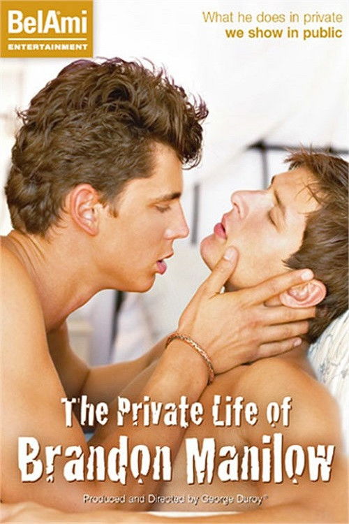 The Private Life of Brandon Manilow (2008) poster