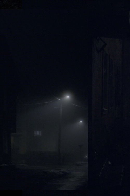 The River and A Cat (2024) poster