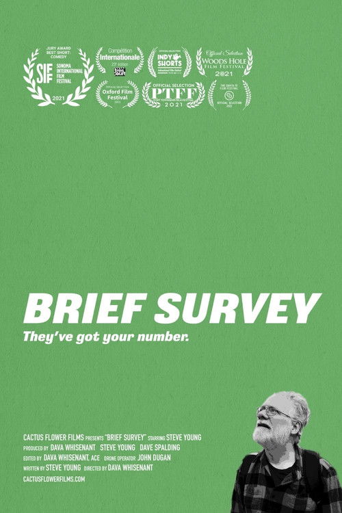 Brief Survey (2021) poster