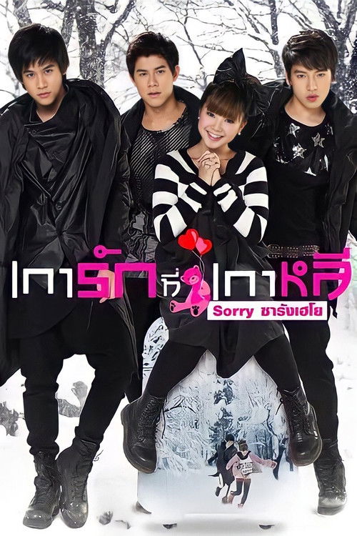 Sorry Saranghaeyo (2010) poster