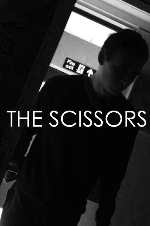 The Scissors (2021) poster