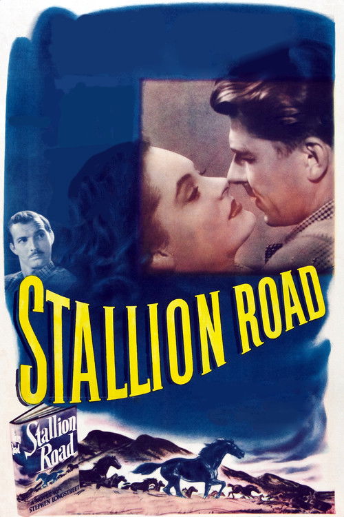Stallion Road (1947) poster