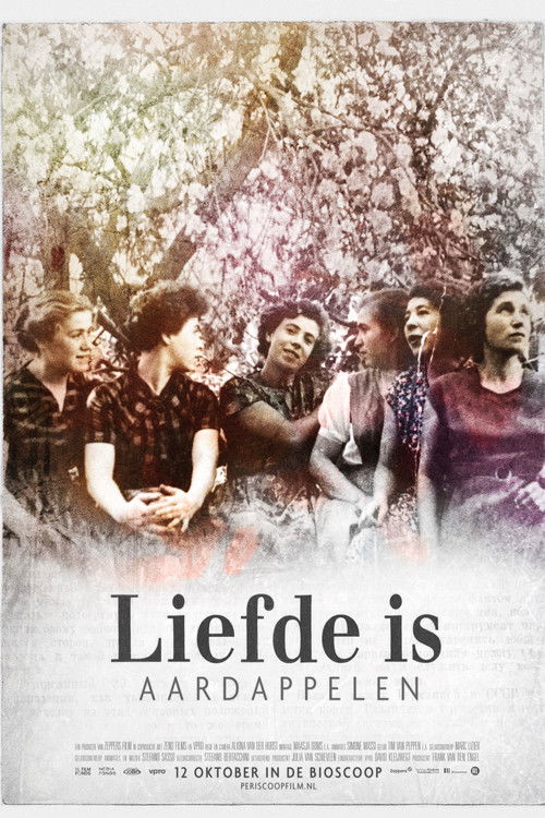 Love Is Potatoes (2017) poster