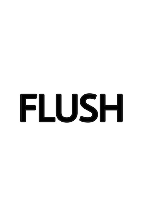 Flush (2003) poster