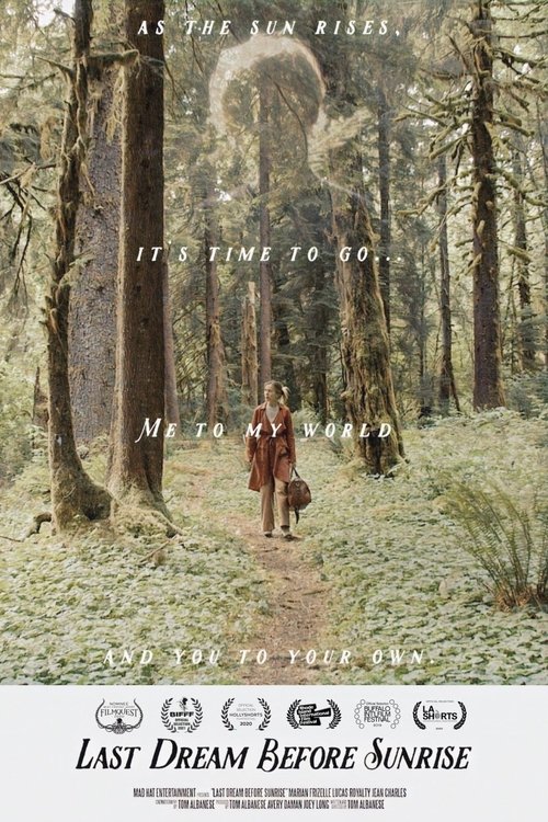 Last Dream Before Sunrise (2019) poster