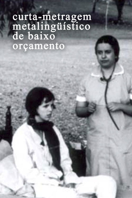 Curta-metragem Metalinguístico de Baixo Orçamento (2003) poster