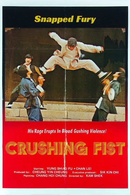 The Great Chinese Boxer (1974) poster