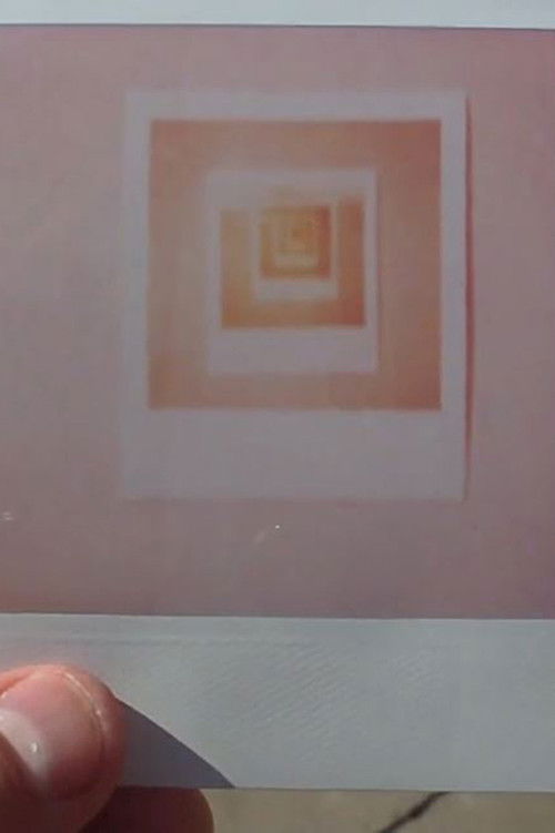 Polaroid Feedback (2009) poster