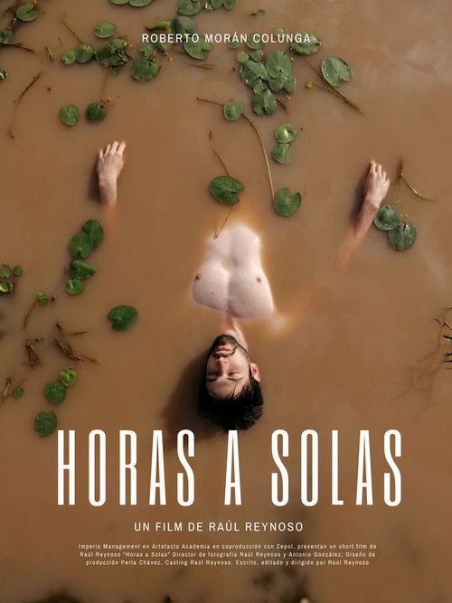 Horas a Solas (2020) poster