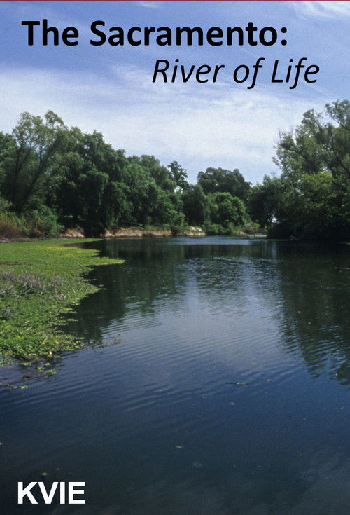 The Sacramento River of Life (2005) poster