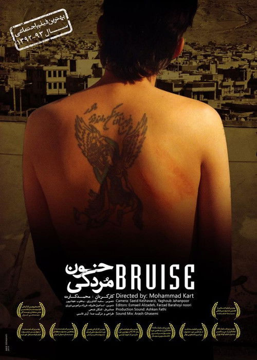 Bruise (2013) poster