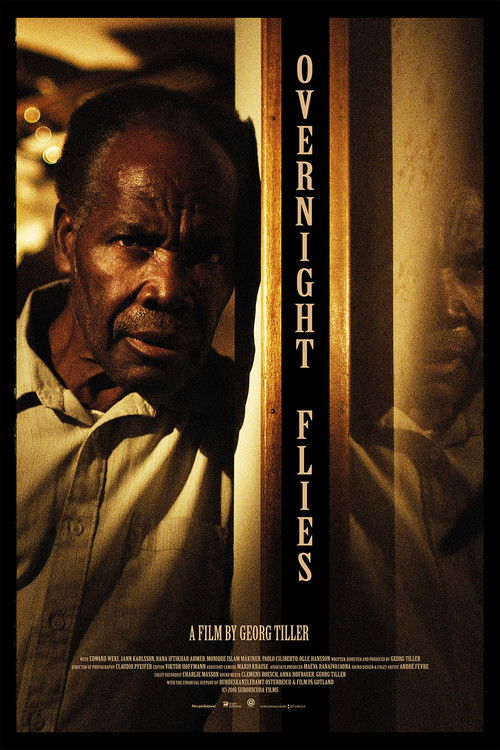 Overnight Flies (2016) poster
