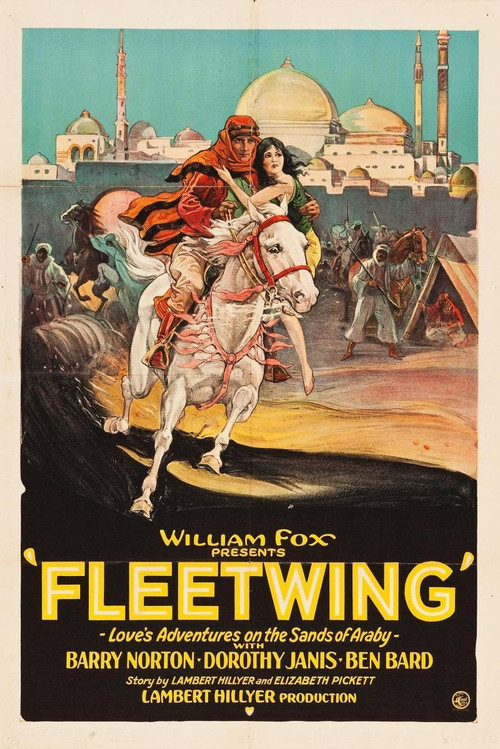 Fleetwing (1928) poster