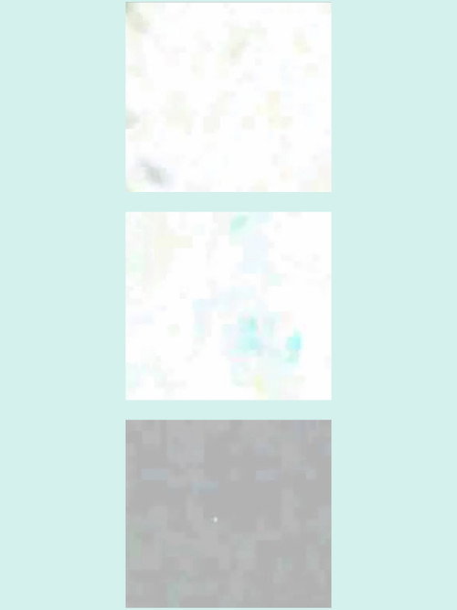 silence (2011) poster