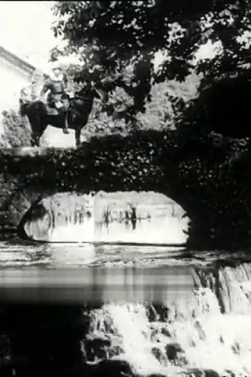 The Béarnaise Girl (1911) poster