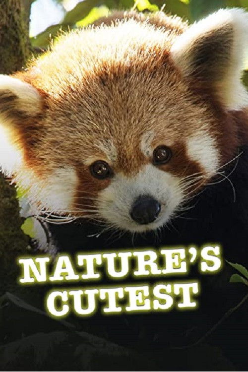 Nature's Cutest (2021) poster