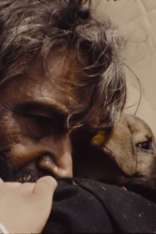 Ángel de la noche (1987) poster