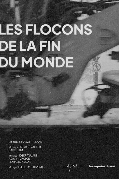 Les flocons de la fin du monde (2025) poster