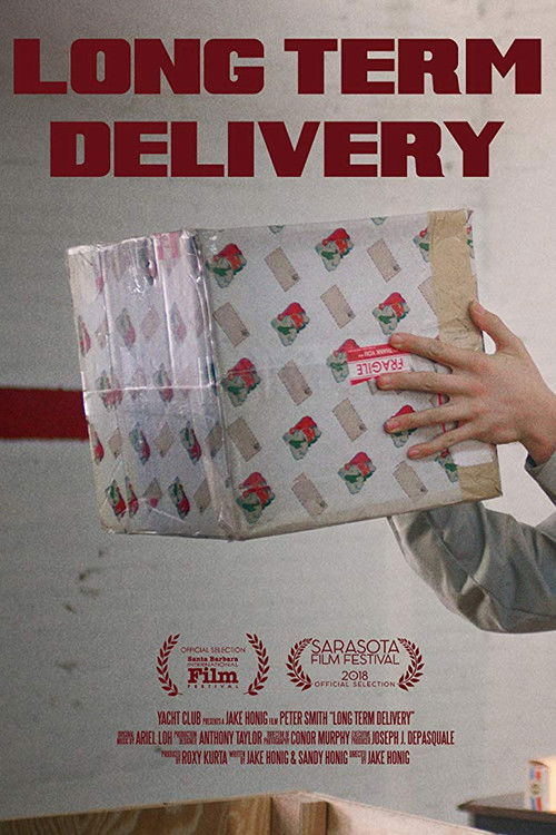 Long Term Delivery (2018) poster