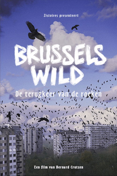 Bruxelles Sauvage - Le retour des corbeaux (2024) poster