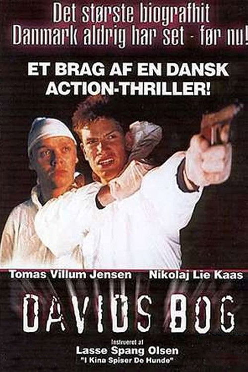 Davids bog (1996) poster