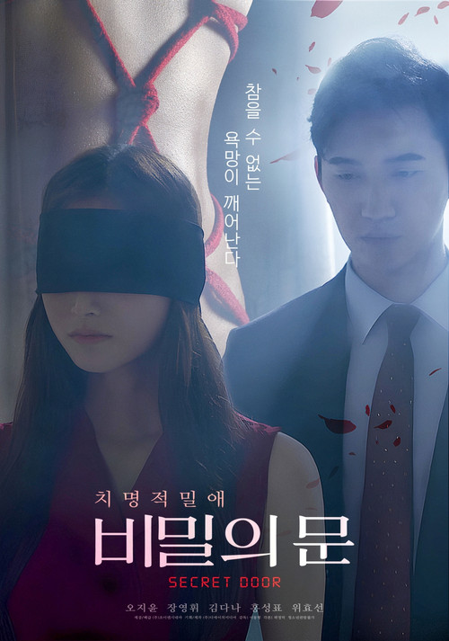비밀의 문 (2025) poster