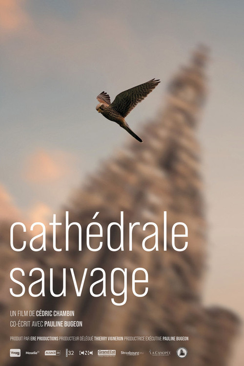 Cathédrale sauvage (2022) poster