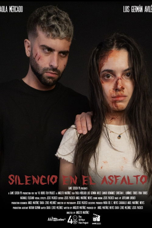 Silence in the Road poster