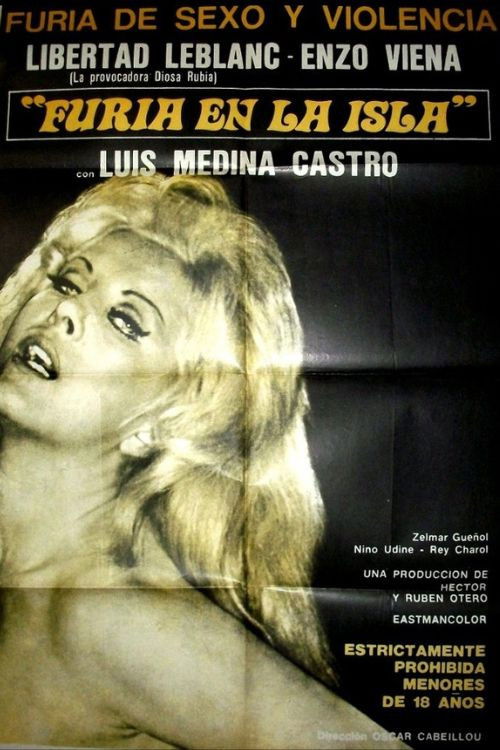 Furia en la isla (1978) poster
