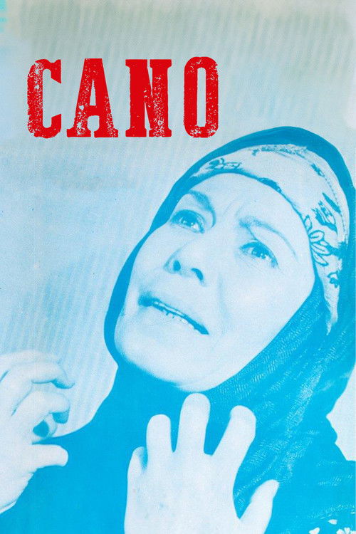 Cano: Acı Izdırap (1973) poster