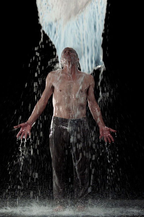 Inverted Birth (2014) poster