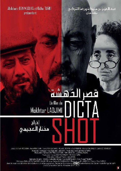 قصر الدهشة (2015) poster