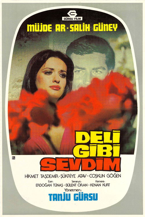 Deli Gibi Sevdim (1976) poster