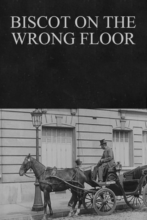 Biscot on the Wrong Floor (1916) poster