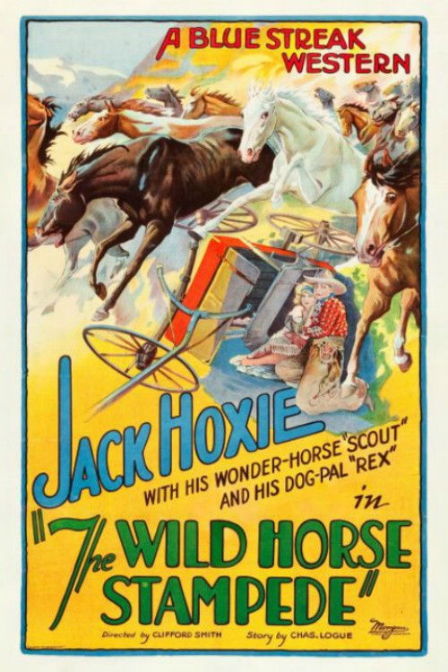 The Wild Horse Stampede (1926) poster