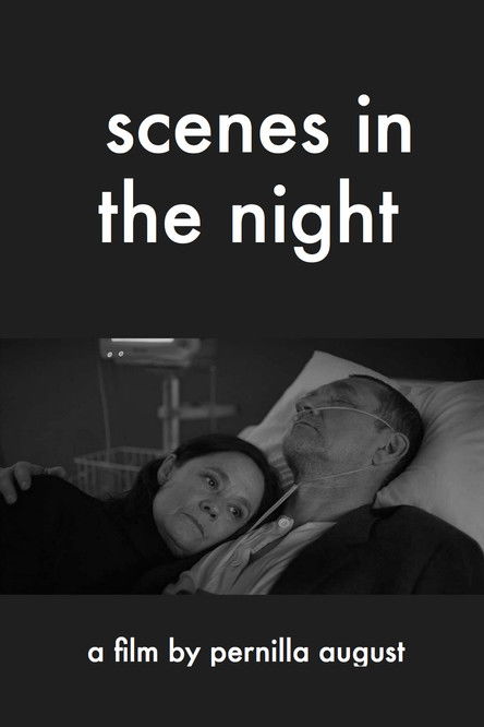Scenes in the Night (2018) poster