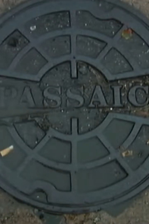Passaic Mosaic (2008) poster