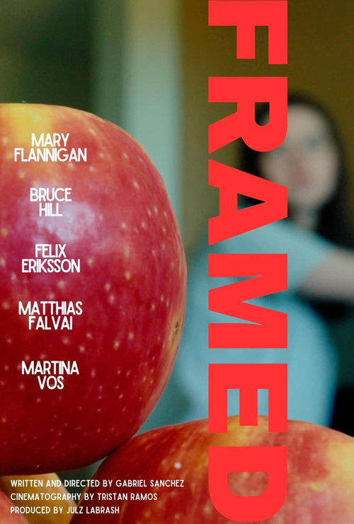 Framed (2023) poster