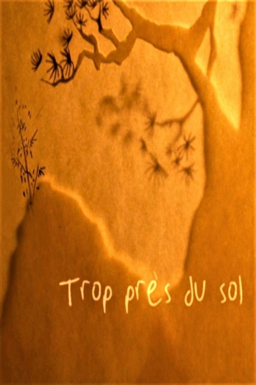 Trop près du sol poster