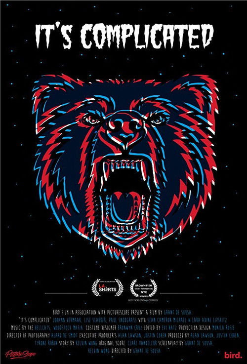 It's Complicated (2017) poster