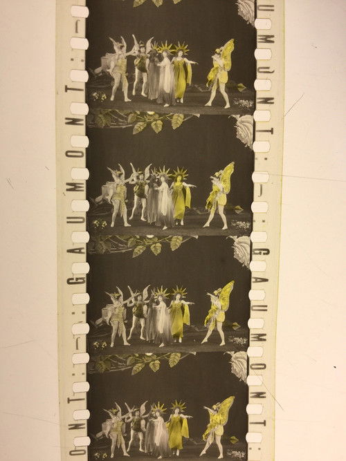 The Roses (1908) poster