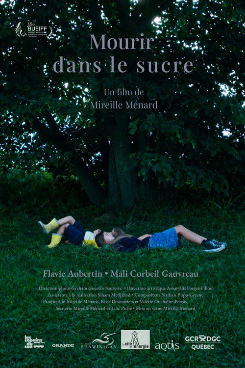 Mourir dans le sucre (2025) poster