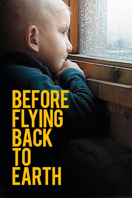 Before Flying Back to Earth (2005) poster
