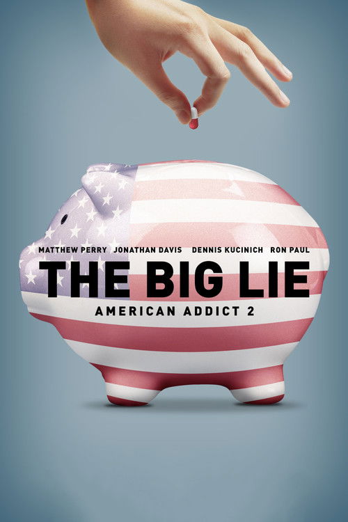 The Big Lie: American Addict 2 (2016) poster