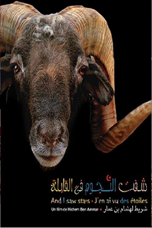 شفت النجوم فالقايلة (2007) poster