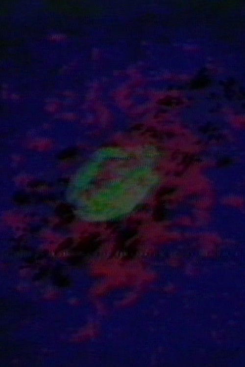 Circling (1975) poster