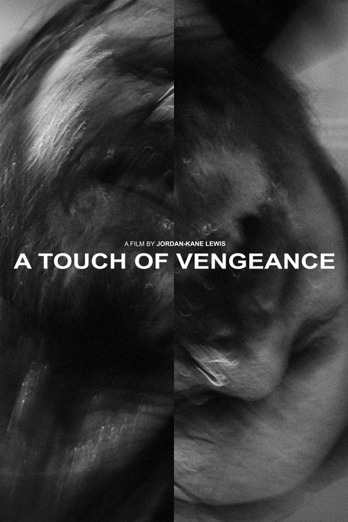 A Touch of Vengeance (2022) poster